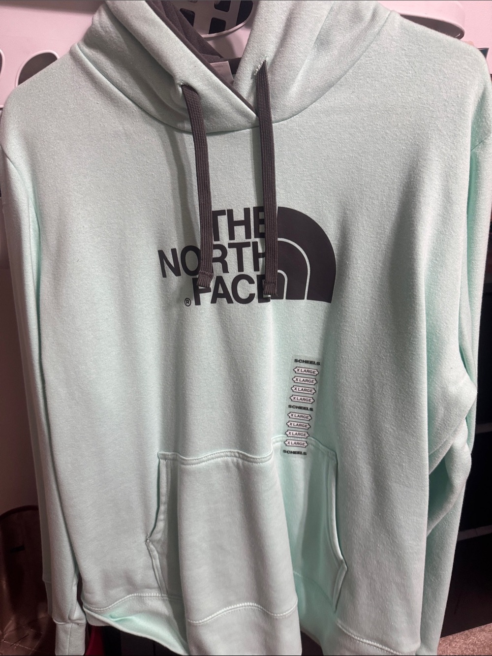 The North Face Mint Green Hoodie with Black Logo